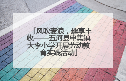 风吹麦浪，趣享丰收——五河县申集镇大李小学开展劳动教育实践活动