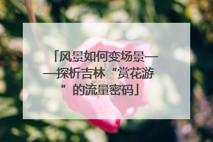 风景如何变场景——探析吉林“赏花游”的流量密码