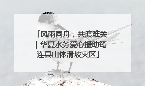 风雨同舟，共渡难关｜华夏水务爱心援助筠连县山体滑坡灾区
