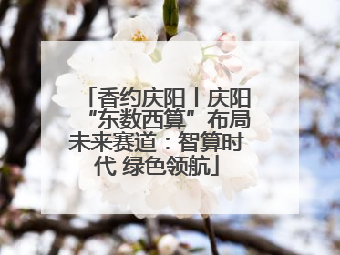 香约庆阳丨庆阳“东数西算”布局未来赛道：智算时代 绿色领航