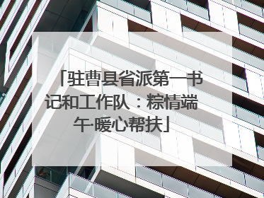 驻曹县省派第一书记和工作队：粽情端午·暖心帮扶