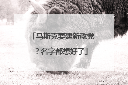 马斯克要建新政党？名字都想好了