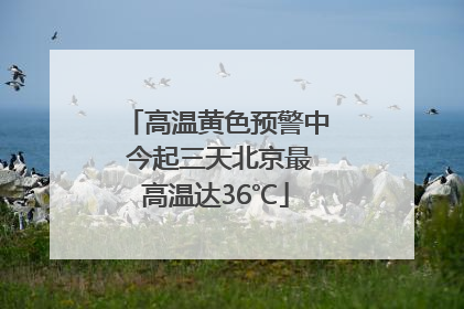高温黄色预警中 今起三天北京最高温达36℃
