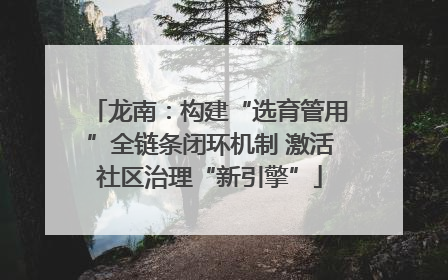 龙南：构建“选育管用”全链条闭环机制 激活社区治理“新引擎”