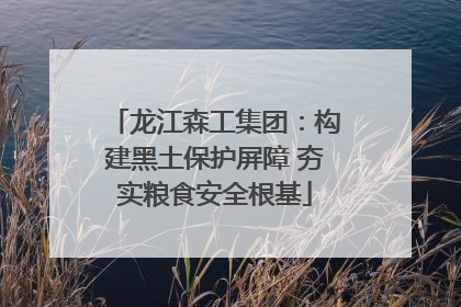 龙江森工集团：构建黑土保护屏障 夯实粮食安全根基