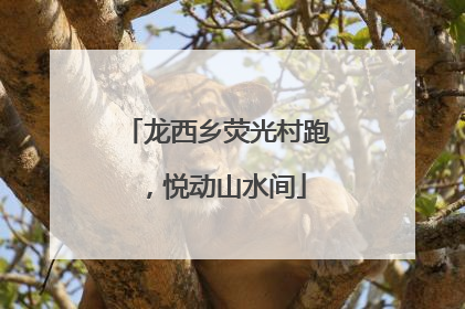 龙西乡荧光村跑，悦动山水间