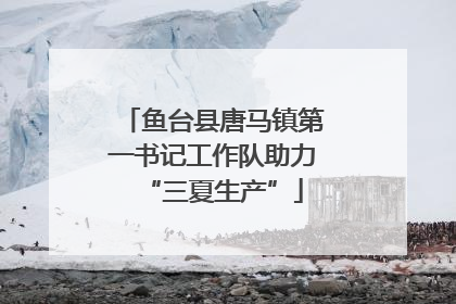 鱼台县唐马镇第一书记工作队助力“三夏生产”