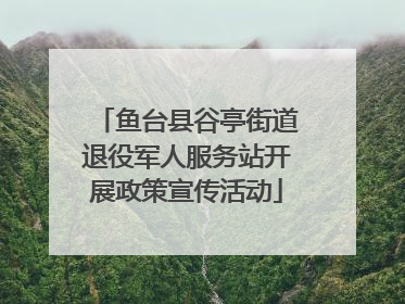 鱼台县谷亭街道退役军人服务站开展政策宣传活动