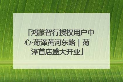 鸿蒙智行授权用户中心·菏泽黄河东路｜菏泽首店盛大开业