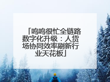 鸣鸣很忙全链路数字化升级：人货场协同效率刷新行业天花板