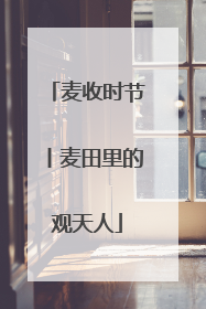 麦收时节丨麦田里的观天人