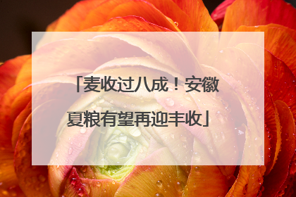 麦收过八成！安徽夏粮有望再迎丰收