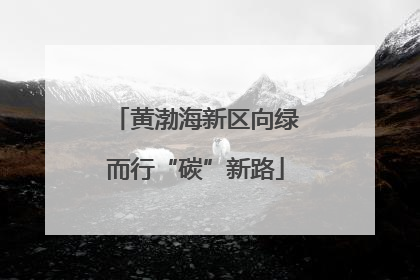 黄渤海新区向绿而行“碳”新路