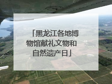 黑龙江各地博物馆献礼文物和自然遗产日
