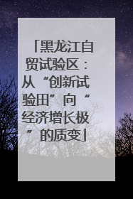 黑龙江自贸试验区：从“创新试验田”向“经济增长极”的质变