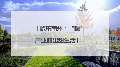 黔东南州：“酸”产业酿出甜生活