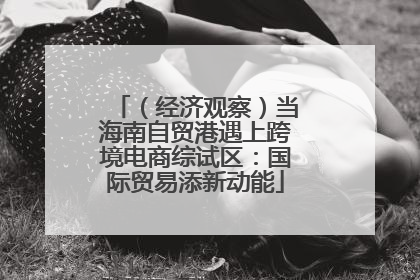 （经济观察）当海南自贸港遇上跨境电商综试区：国际贸易添新动能