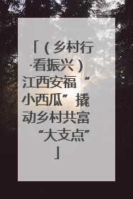 （乡村行·看振兴）江西安福“小西瓜”撬动乡村共富“大支点”