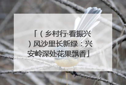 （乡村行·看振兴）风沙里长新绿：兴安岭深处花果飘香