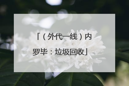 （外代一线）内罗毕：垃圾回收