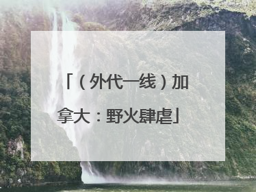 （外代一线）加拿大：野火肆虐