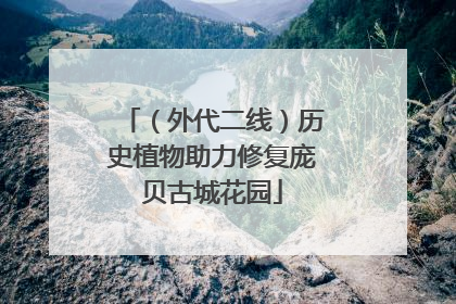 （外代二线）历史植物助力修复庞贝古城花园