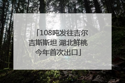 108吨发往吉尔吉斯斯坦 湖北鲜桃今年首次出口