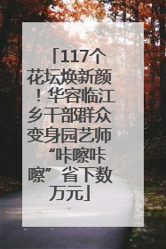 117个花坛焕新颜！华容临江乡干部群众变身园艺师 “咔嚓咔嚓”省下数万元