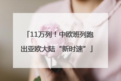 11万列！中欧班列跑出亚欧大陆“新时速”