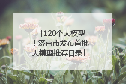 120个大模型！济南市发布首批大模型推荐目录