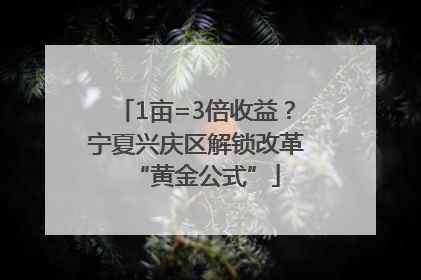 1亩=3倍收益？宁夏兴庆区解锁改革“黄金公式”