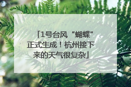 1号台风“蝴蝶”正式生成！杭州接下来的天气很复杂