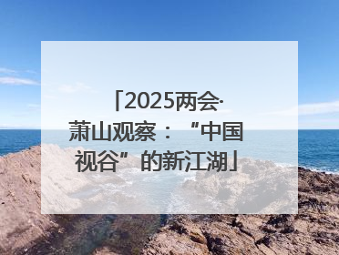 2025两会·萧山观察：“中国视谷”的新江湖