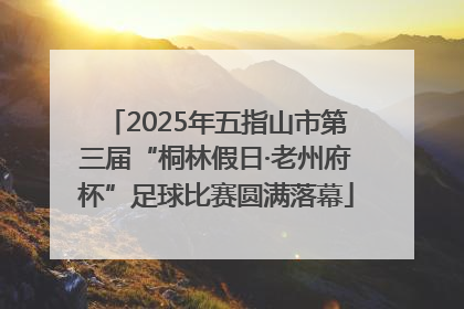 2025年五指山市第三届“桐林假日·老州府杯”足球比赛圆满落幕