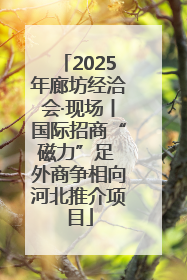 2025年廊坊经洽会·现场丨国际招商“磁力”足 外商争相向河北推介项目