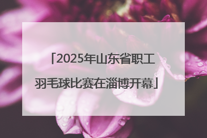 2025年山东省职工羽毛球比赛在淄博开幕