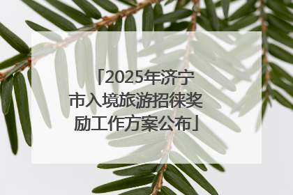 2025年济宁市入境旅游招徕奖励工作方案公布