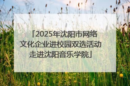 2025年沈阳市网络文化企业进校园双选活动走进沈阳音乐学院