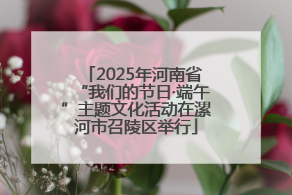 2025年河南省“我们的节日·端午”主题文化活动在漯河市召陵区举行