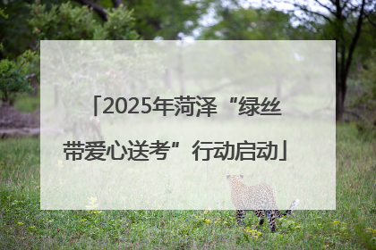 2025年菏泽“绿丝带爱心送考”行动启动