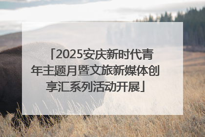 2025安庆新时代青年主题月暨文旅新媒体创享汇系列活动开展