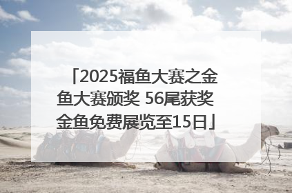 2025福鱼大赛之金鱼大赛颁奖 56尾获奖金鱼免费展览至15日