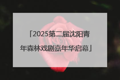 2025第二届沈阳青年森林戏剧嘉年华启幕