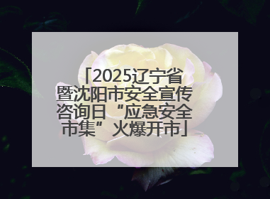 2025辽宁省暨沈阳市安全宣传咨询日“应急安全市集”火爆开市