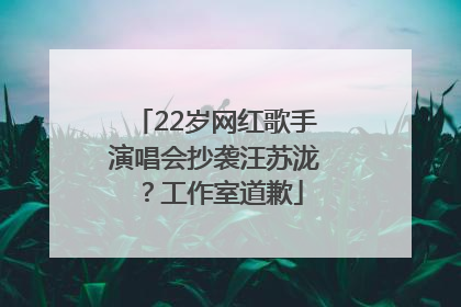 22岁网红歌手演唱会抄袭汪苏泷？工作室道歉