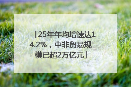 25年年均增速达14.2%，中非贸易规模已超2万亿元