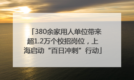 380余家用人单位带来超1.2万个校招岗位，上海启动“百日冲刺”行动
