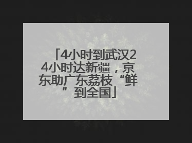 4小时到武汉24小时达新疆，京东助广东荔枝“鲜”到全国