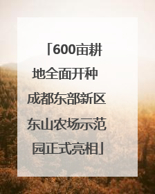 600亩耕地全面开种 成都东部新区东山农场示范园正式亮相