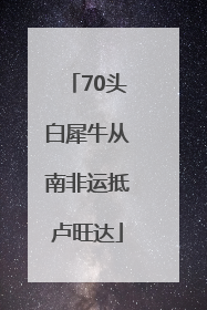 70头白犀牛从南非运抵卢旺达